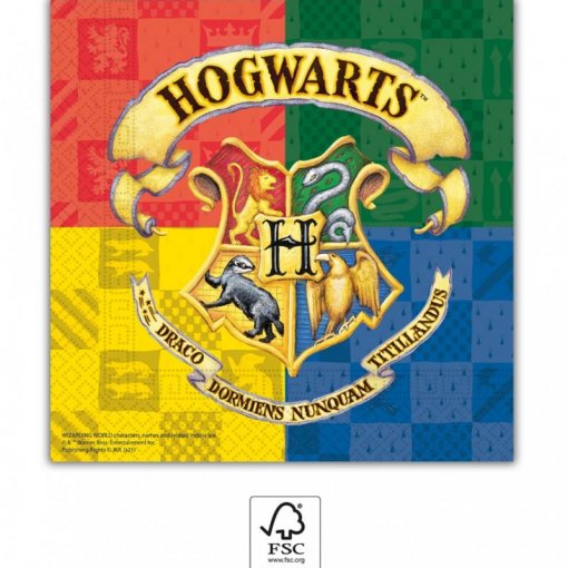 20 Guardanapos 33cm  Harry Potter