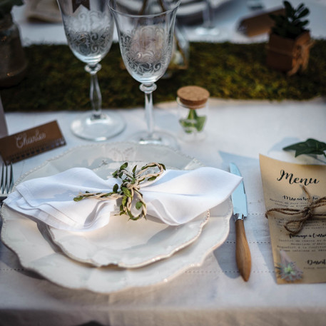 Fita em Trança Marfim com Planta 0,5cm x 2m