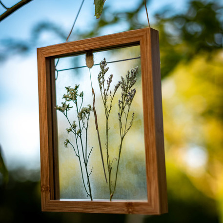 Moldura de Vidro 23x18cm com Flores secas naturais