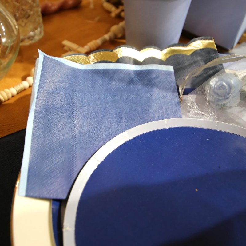 15 Guardanapos 24cm Azul Escuro e Azul Marinho