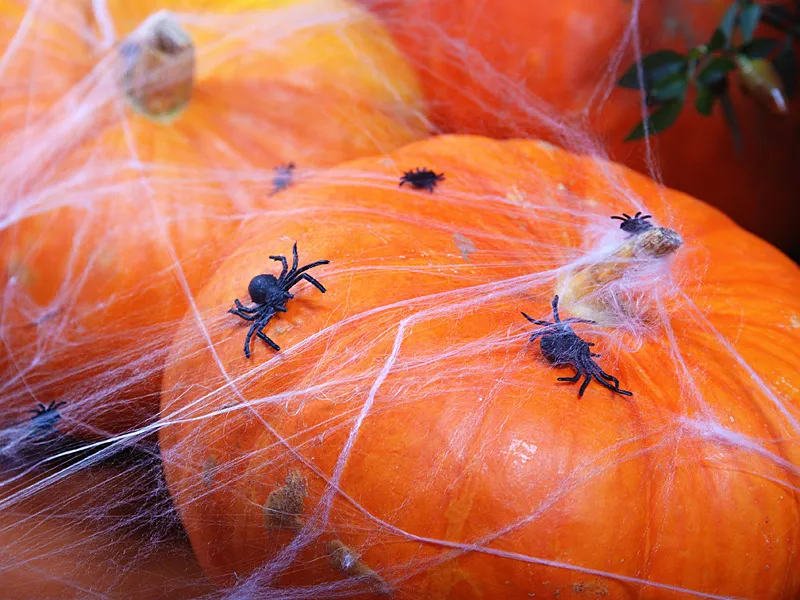 10 Aranhas de plástico 3cm