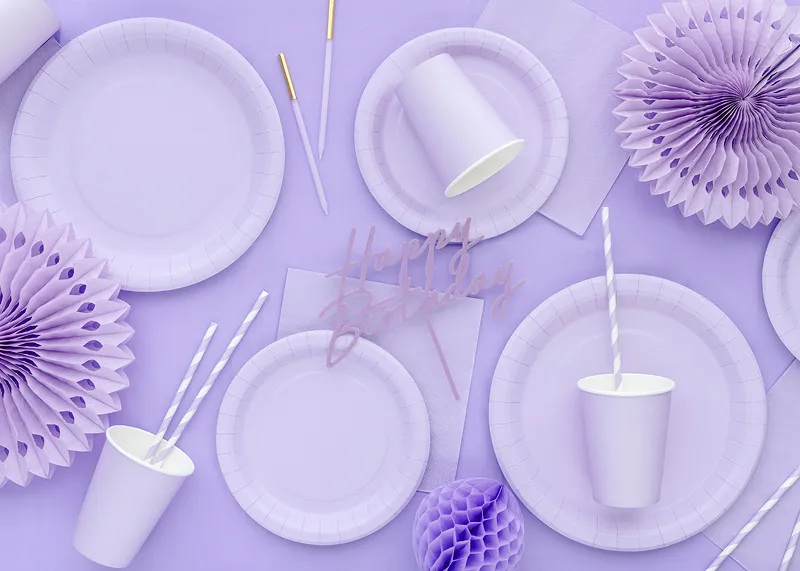 6 Pratos 18cm Lilás