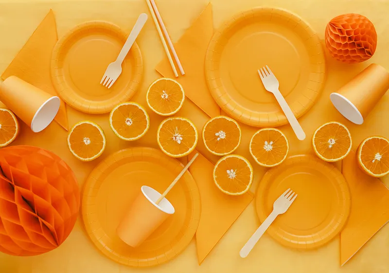 6 Pratos 23cm Laranja