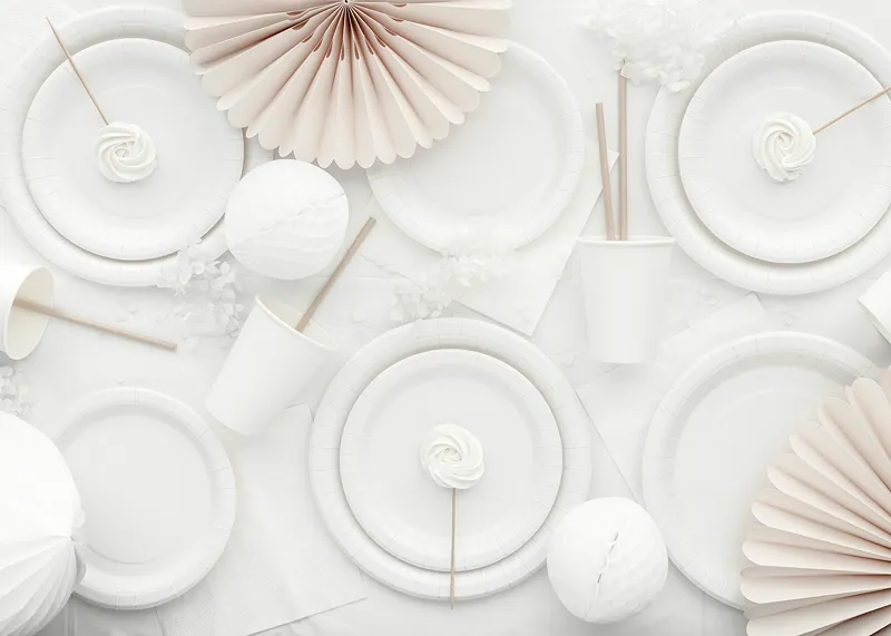 6 Pratos 23cm Branco