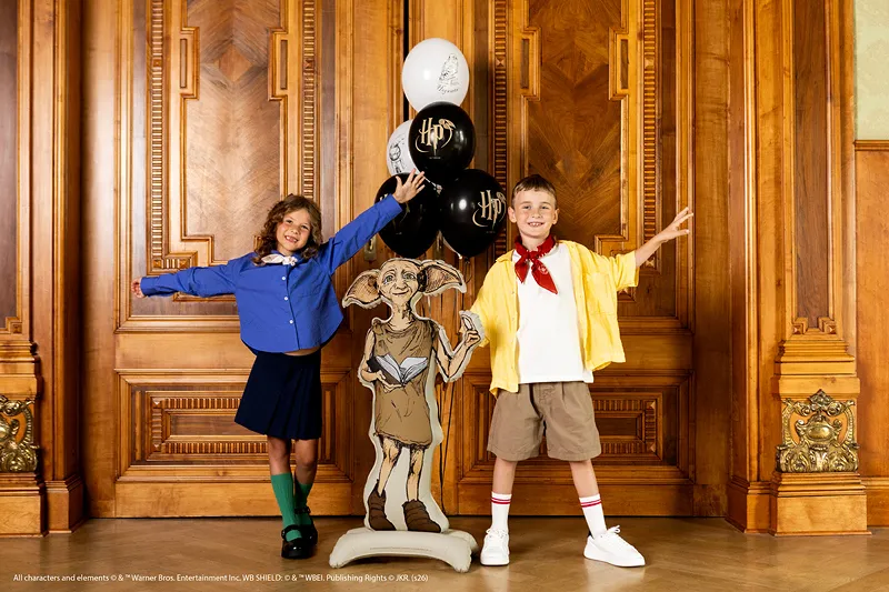 Balão Foil Standing 54x105cm Dobby Harry Potter