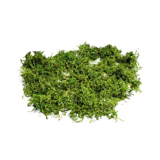 Mousse natural semi seca 50g