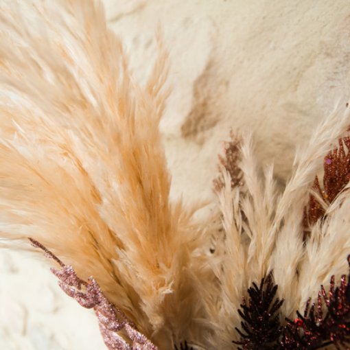 3 Pampas Selvagens Marfim