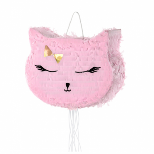 Pinhata 3D 35x27x9cm Gato