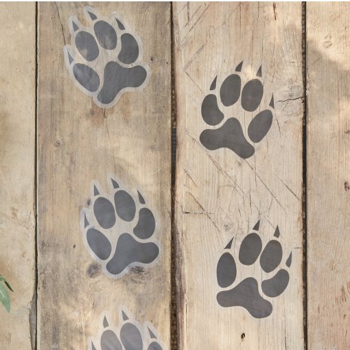 6 Autocolantes de chão com marcas de patas de animais