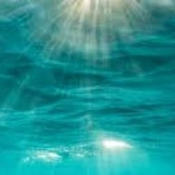 Ver tudo Mar / Piratas / Sereia