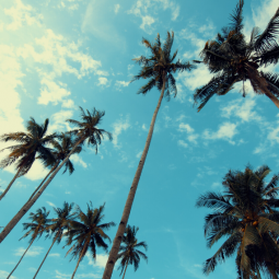 Mar, Praia, Sol & Verão