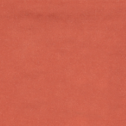 Terracota