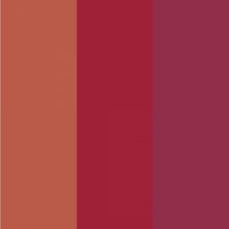 Terracota | Cor de Vinho | Burgundy