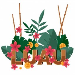 Luau Party / Hawai